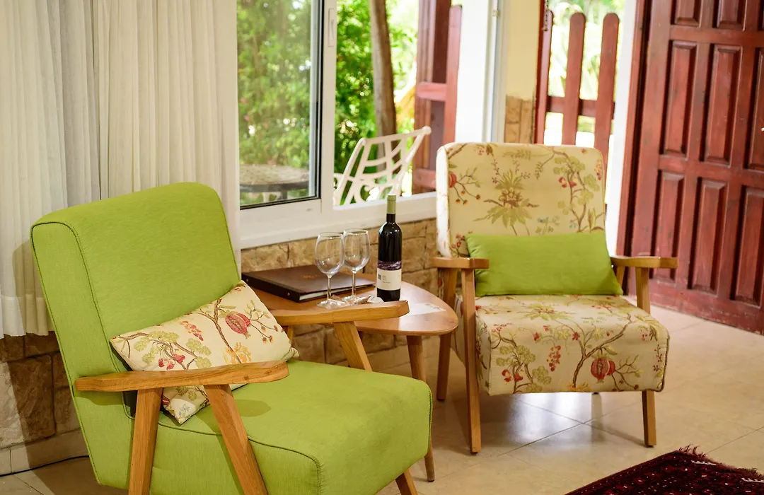 Amirey Hagalil Boutique Hotel-1